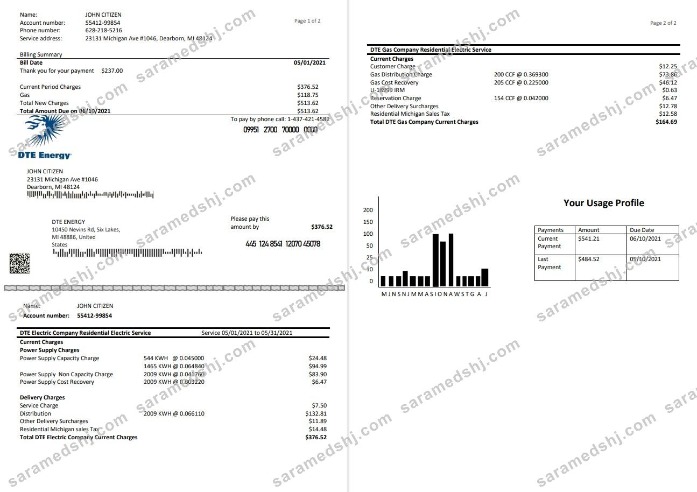 USA DTE Energy utility bill template in Word and PDF format (2 pages)